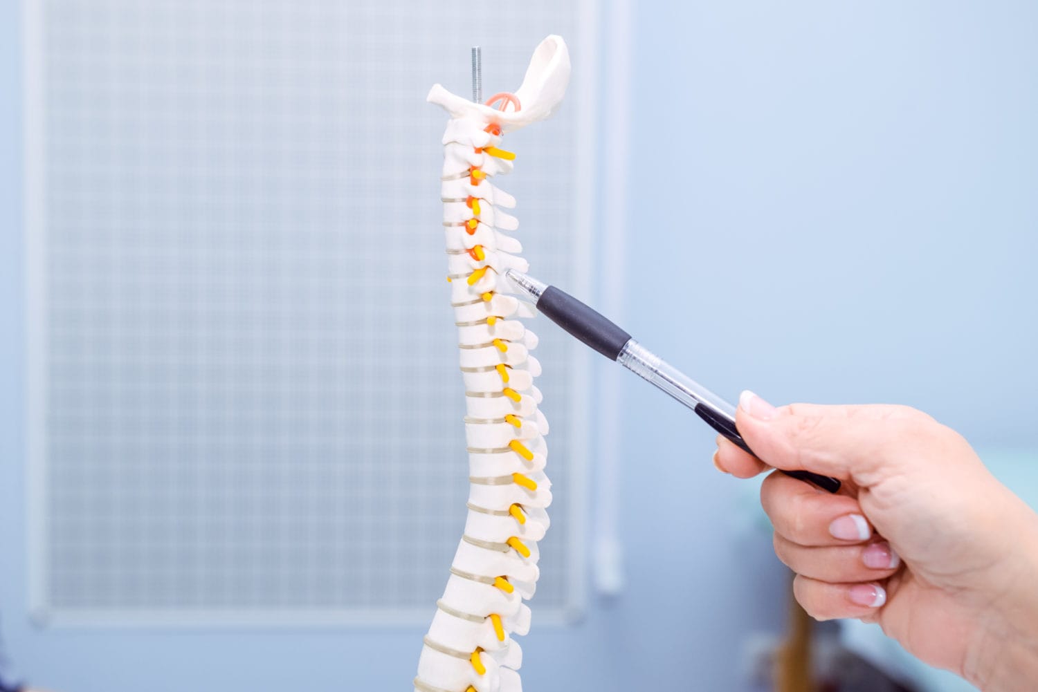 Spinal Screenings Ocon Family Chiropractic